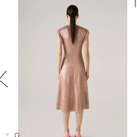 St John’s Sequin Knit Cap Sleeve Fit & Flare Dress W/ Fringe Trim Detail - Lined - Picture 2 of 9